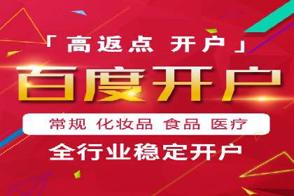 SEM搜索引擎优化：广告创意的策划与执行